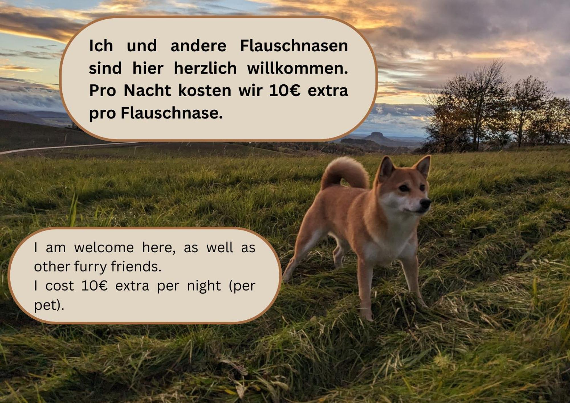 S2 - Urlaubsmagie - Am Wanderweg Mit Terrasse Daire Sebnitz Dış mekan fotoğraf